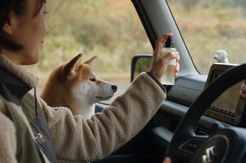 Your Dog's Car Stress, Down 40.2%