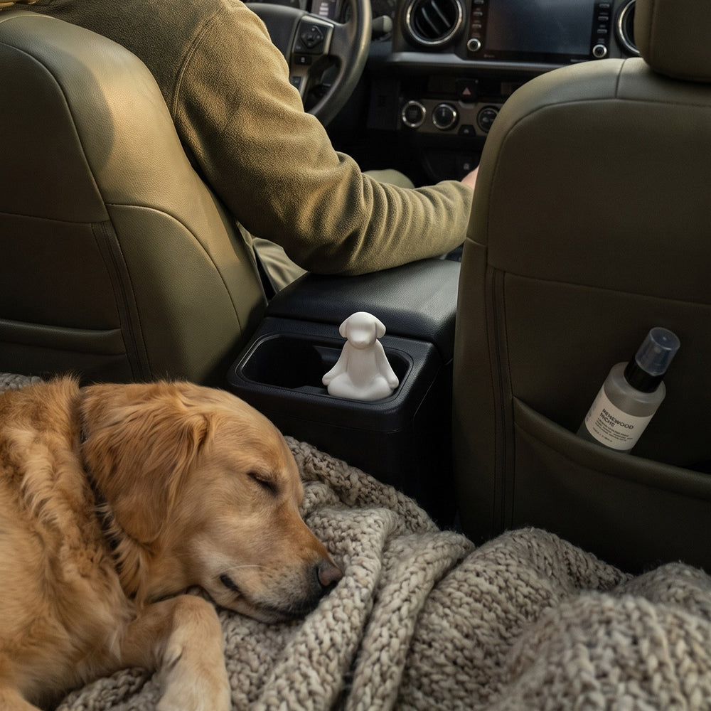 It calms the driver too